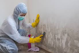 Best Mold Removal for HVAC Installations  in Temple, GA